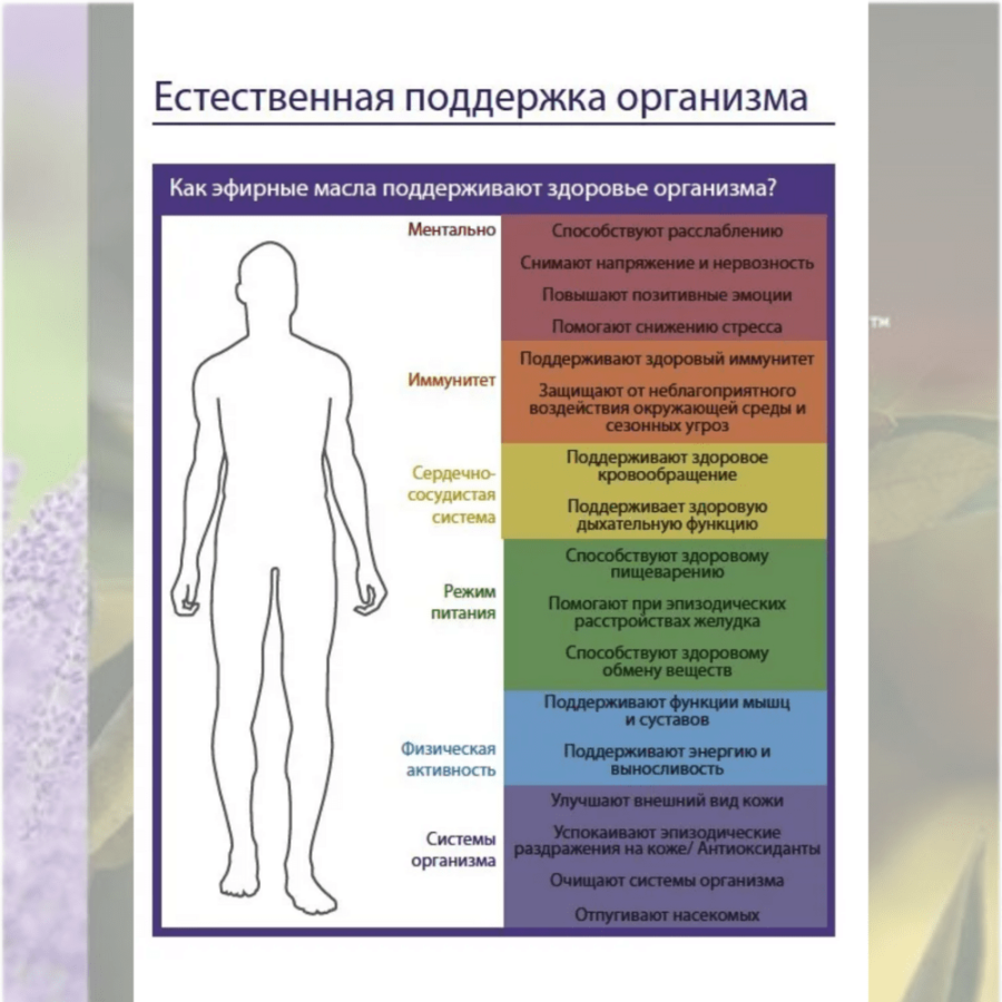 Справочник Введение в Modern essentials
