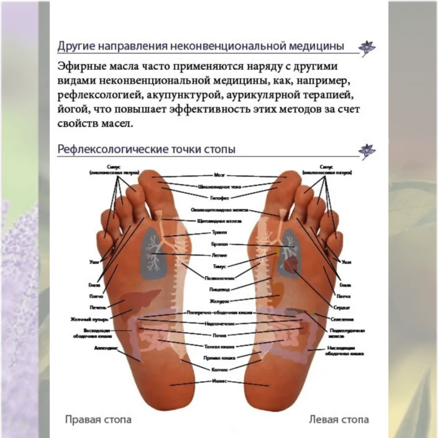 Справочник Введение в Modern essentials