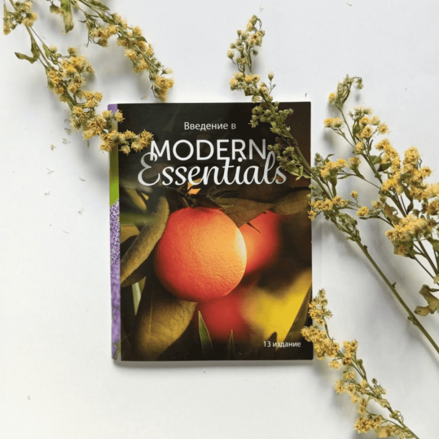 Справочник Введение в Modern essentials