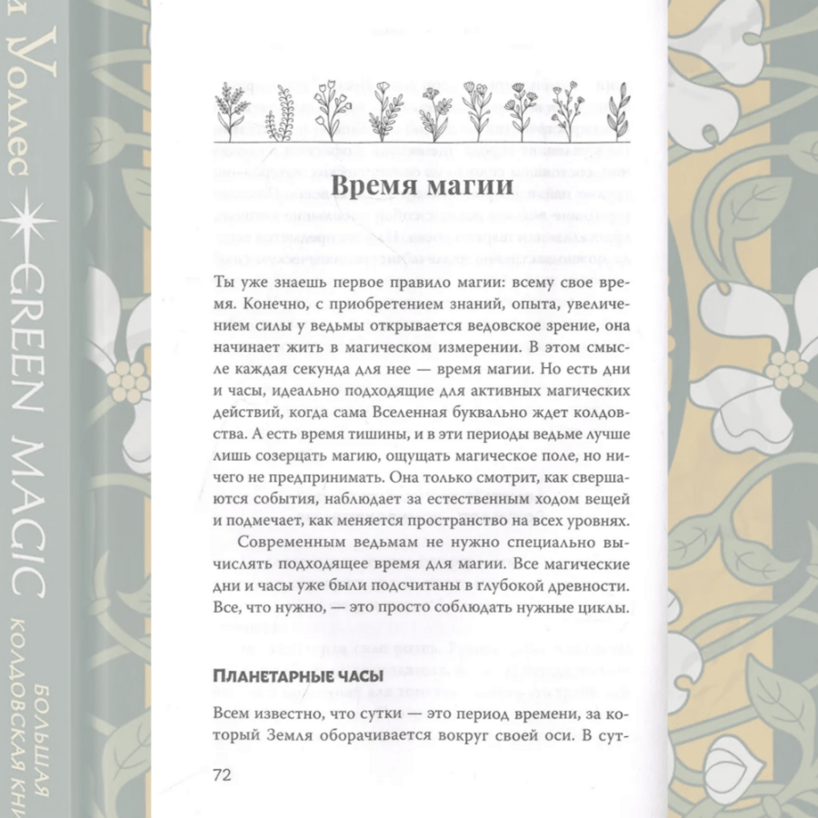 Большая колдовская книга о силе трав, камней, стихий и ароматов. Книга