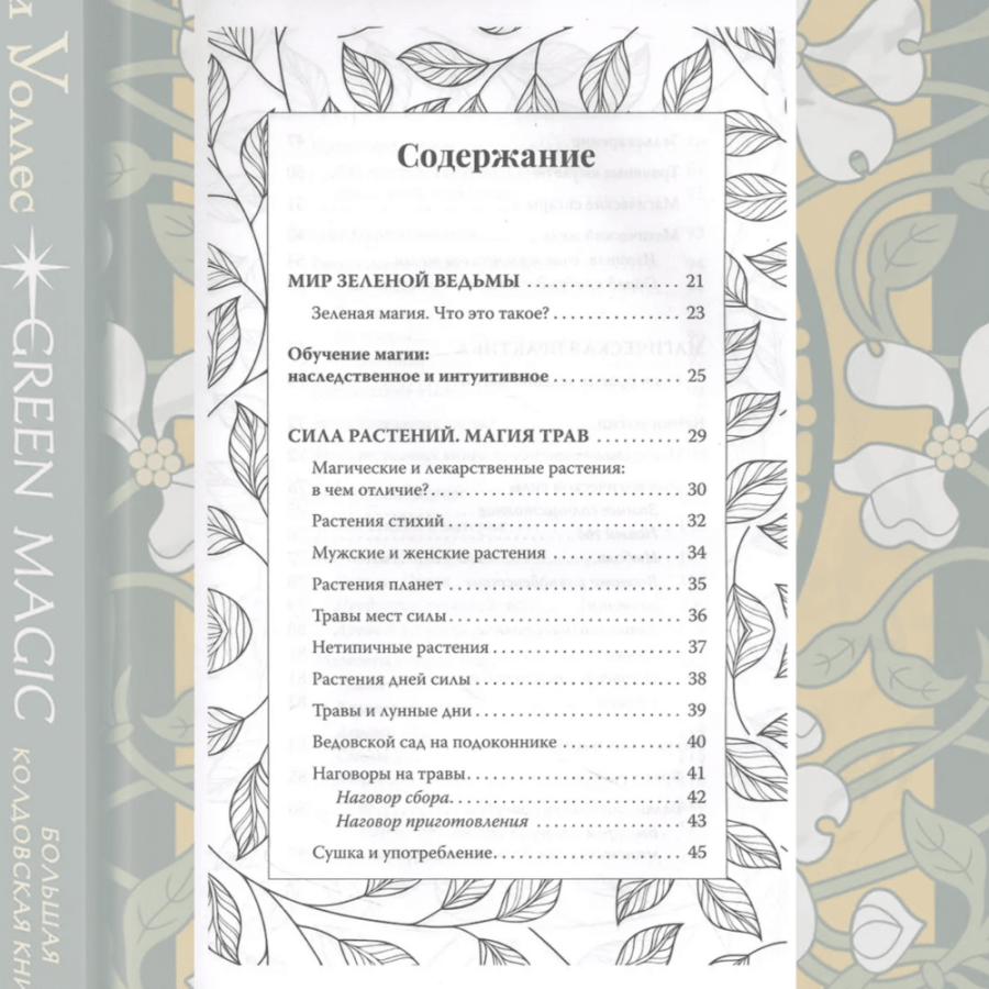 Большая колдовская книга о силе трав, камней, стихий и ароматов. Книга