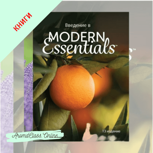 Справочник Введение в Modern essentials